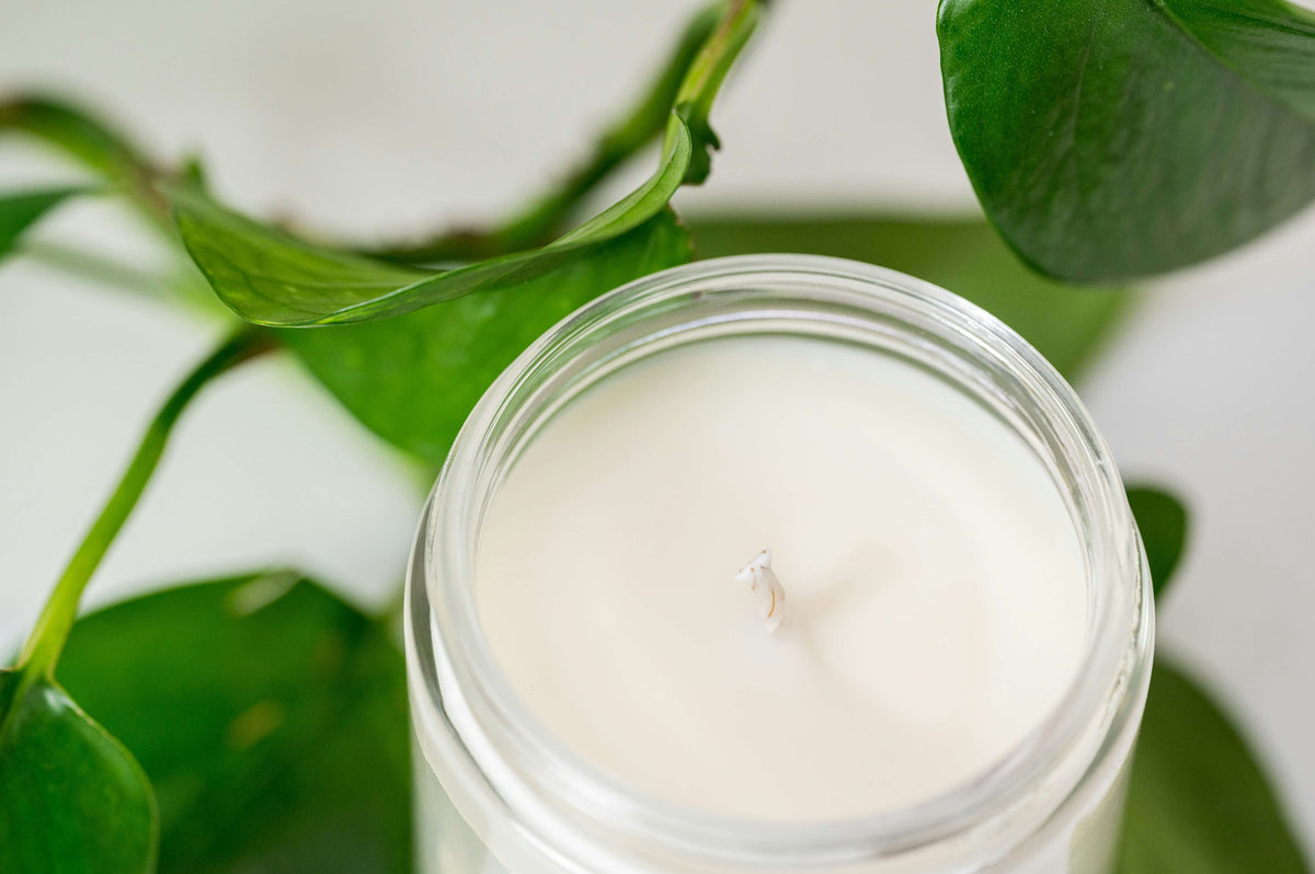 What Is Soy Wax — And Why It Makes a Better Candle